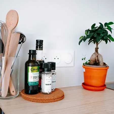 T1bis Cocooning Au Calme Breszt