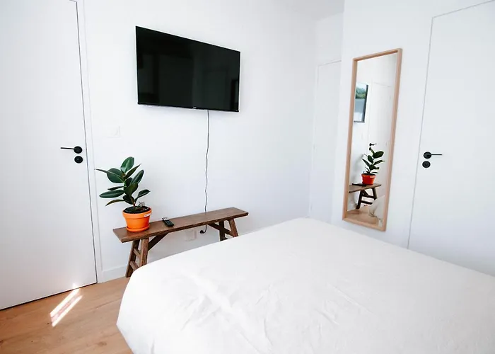 T1bis Cocooning Au Calme