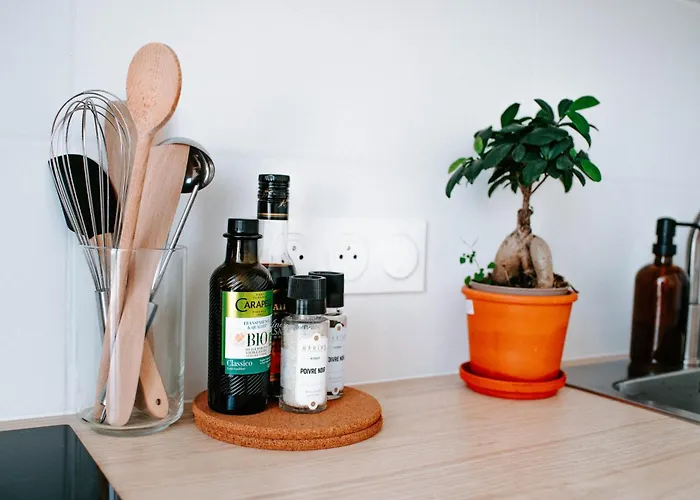 T1bis Cocooning Au Calme Brest